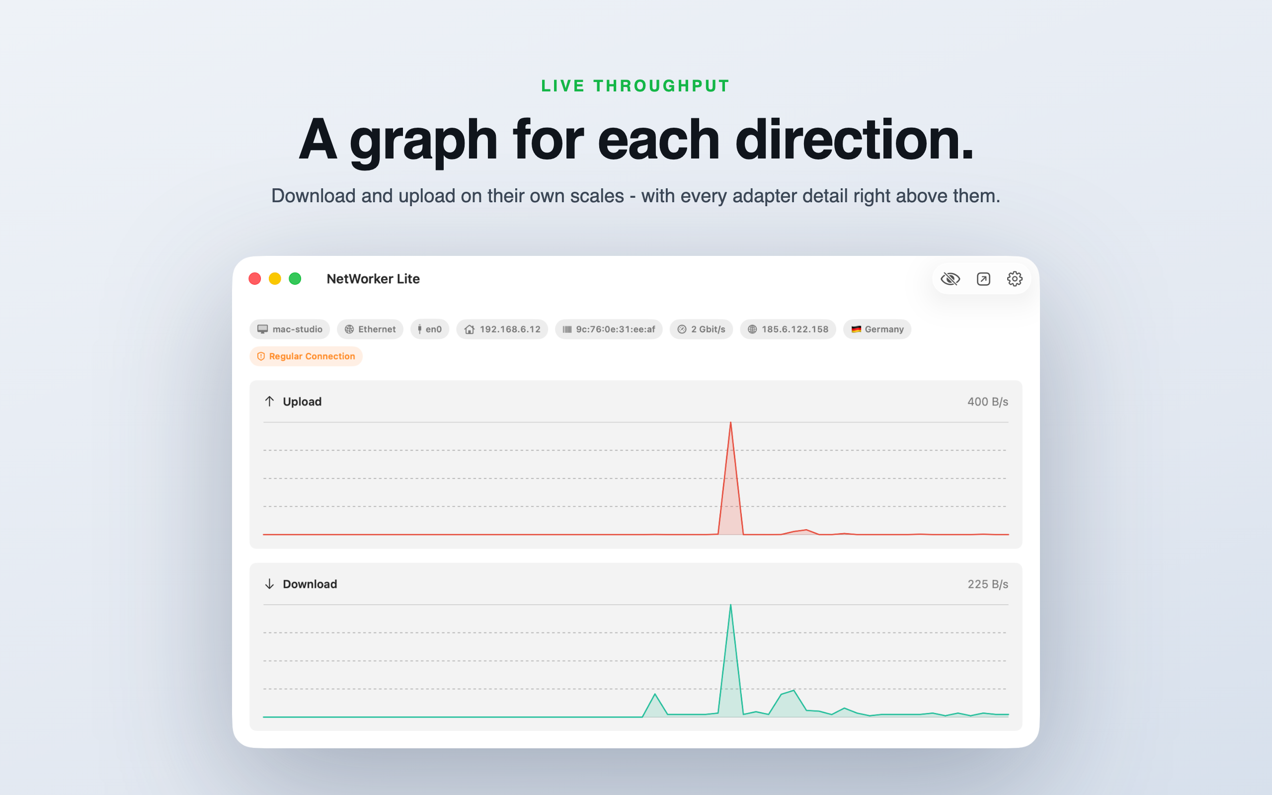 NetWorker Lite Screenshot