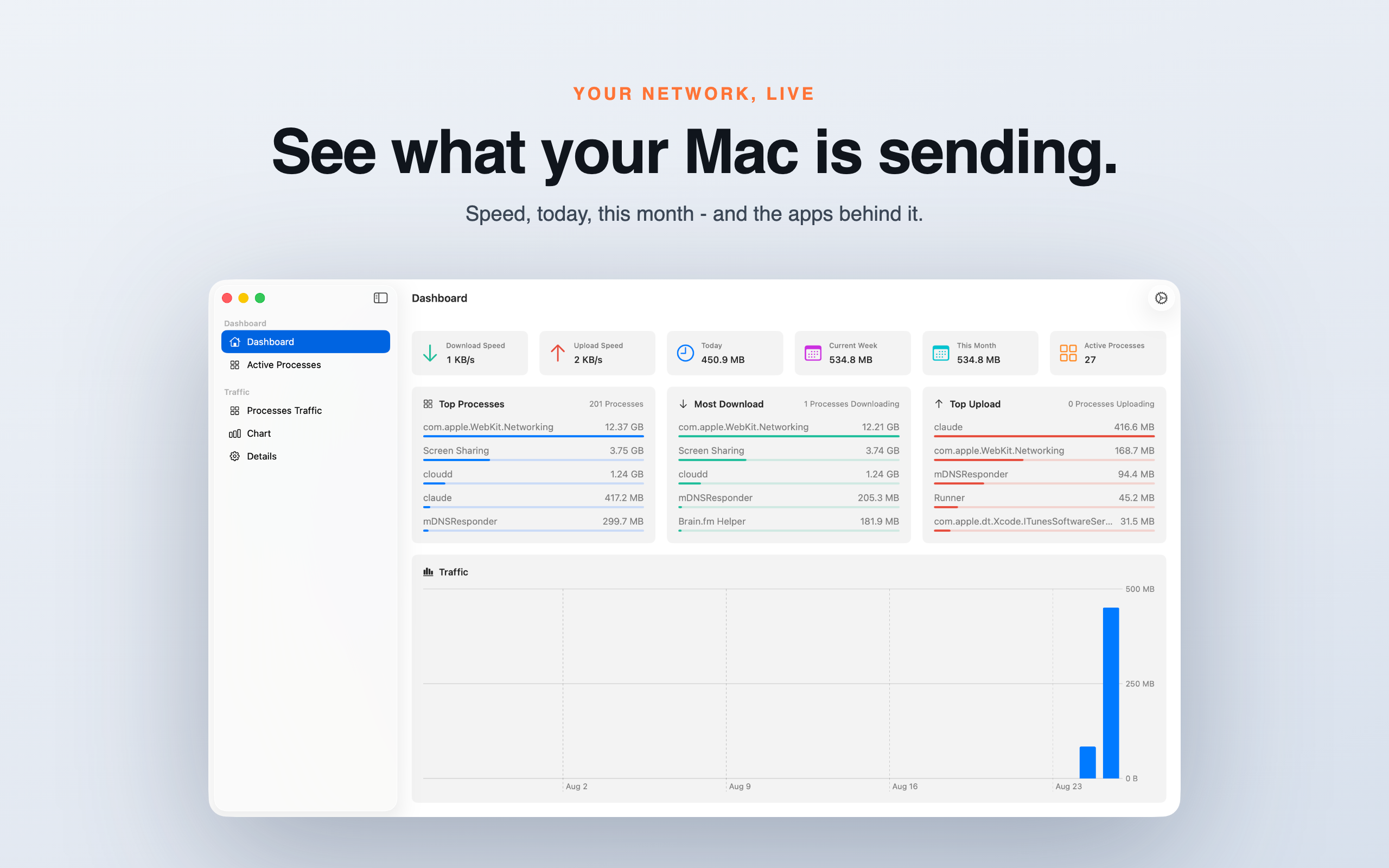 Process Traffic Monitor Screenshot